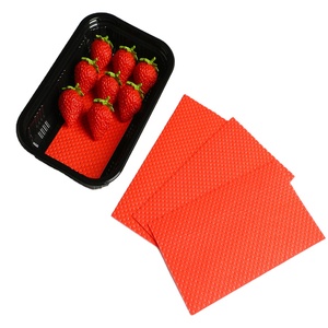 Nueva Almohadilla Absorbente para Vegetales de Alta Calidad, 160*70mm, Duradera, Almohadilla Absorbente para Empaque de Frutas - Product Image 1