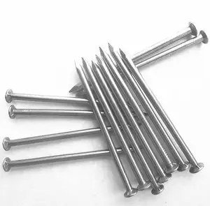 China Sunshine 2 Inch 3 Inches Carbon Steel Electro Galvanized Black Cement Wire Nails Concrete Nails