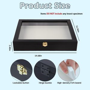 Espositore in Legno Massello con Finestra Anti-UV Bloccabile per Collezioni di Farfalle e Insetti - Product Image 2