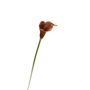 Lys Cala D-230 de haute qualité, toucher réaliste, couleur <span class=keywords><strong>bordeaux</strong></span>, en PU, à longue tige, pour <span class=keywords><strong>la</strong></span> décoration artistique et les mariages. - Product Image 5