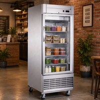 Congélateur vertical commercial Wetruth en acier inoxydable, sans givre, avec vitrine réfrigérée, température unique