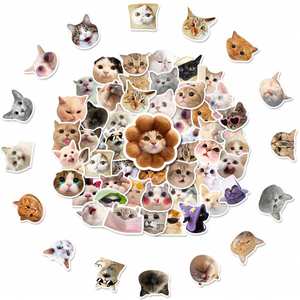Pegatinas Personalizadas YR1624 Impermeables de un Solo Uso, 50/100 Unidades, con Memes de Gatos Divertidos y Lindos para Botellas de Agua, Laptops, Teléfonos, Equipaje, Guitarra - Product Image 2