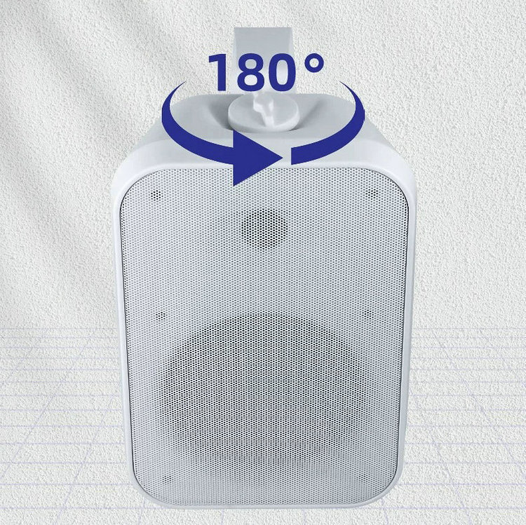 Outdoor Waterproof Wall-Mounted Speaker 2-Way on Wall Speakers 70V 100V 8Ω IP65 Black White In-Wall Speaker · image 4
