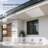 Panneau de plafond en aluminium rainuré et langueté, ventilé, pour bardage extérieur de toiture