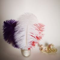 Usine en gros 30-35cm plume d'autruche Nature rose lilas violet plume d'autruche Hackle pour bricolage maison robe de soirée de mariage décor