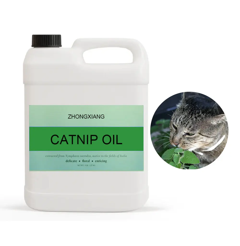 Approvisionnement d'usine 100% naturel et pur organique Nepeta Cataria huile cataire huile essentielle grossiste pour calmer