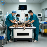 Unité de radiographie vétérinaire portable VET 32kW pour animaux de compagnie