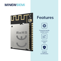 Minewsemi PA LNA NRF52840 Soc Módulo Bluetooth Mesh Económico BLE 5.4 +20dbm PA Inalámbrico ANT Zigbee Thread IoT