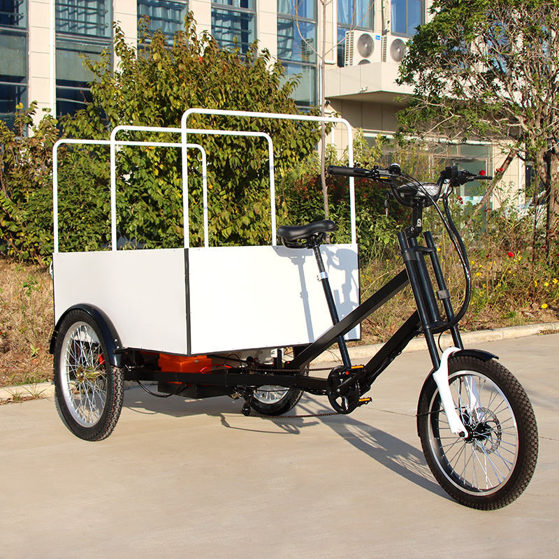 Building Triking Three Wheeler Motorcycle Wheel Building China