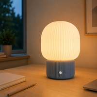 Lampe de chevet LED moderne imprimée en 3D, rechargeable, en plastique, avec batterie USB Type C, tactile et à intensité variable, flexible et simple