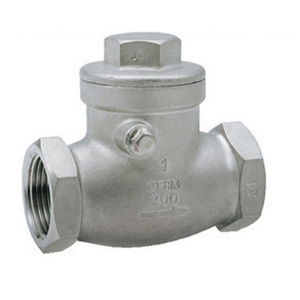 Válvula de Retención de Acero Inoxidable 304 de Alta Calidad DN25 PN16 con Extremo Roscado - Product Image 4