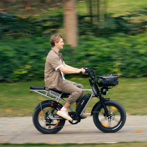 Vélo électrique tout-terrain vintage avec double batterie 48V 35Ah, siège arrière, déverrouillage NFC, stock UE - Product Image 1