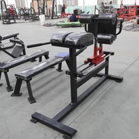 Sunshine SW8008 Équipement de fitness commercial multifonctionnel pour salle de sport, Banc de levée de fessiers et de fessiers-hamstrings, Machine de développement des hanches, Chaise romaine