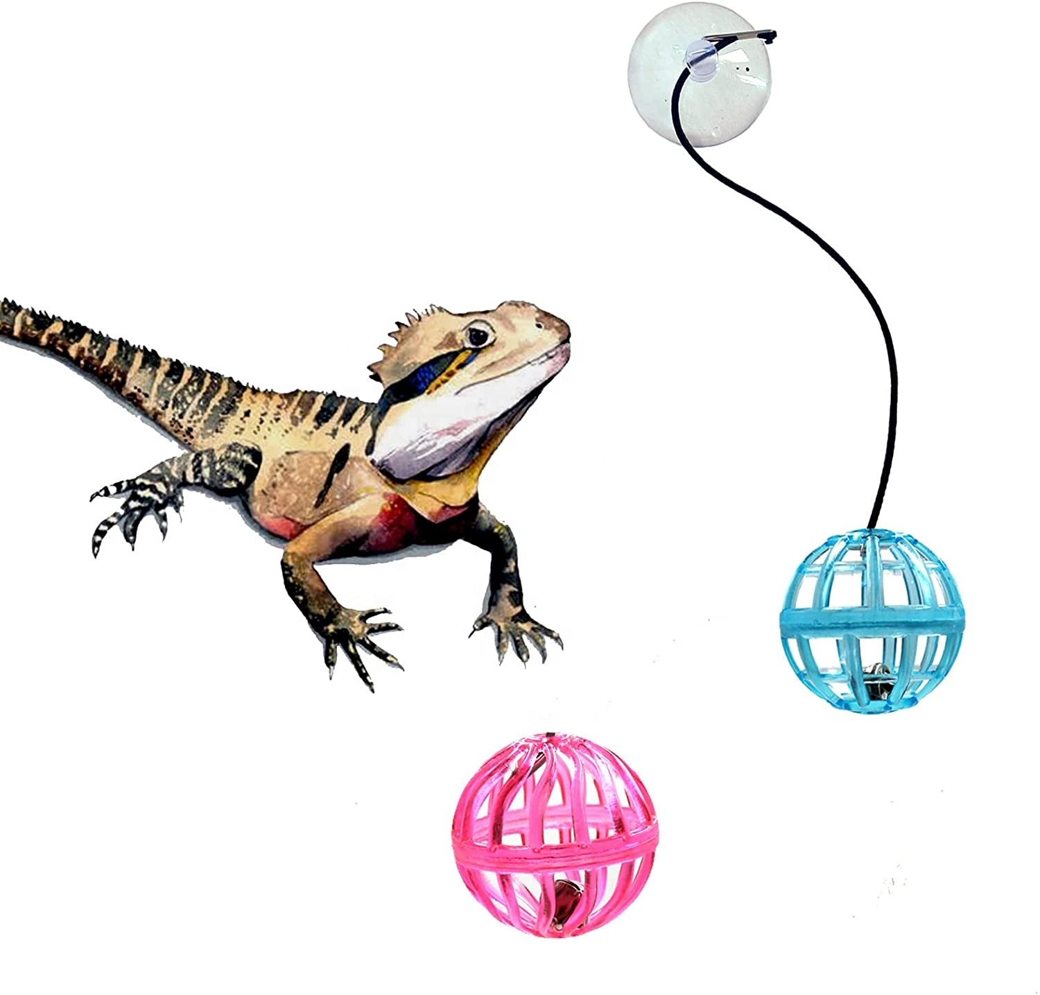 BAOK Bartagamen Spielzeug-Bälle Mit Glöckchen & Saugnapf – Für Echsen, Geckos, Chamäleons (7 Stück)