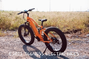 Vélo <span class=keywords><strong>électrique</strong></span> à double suspension, bicyclette de montagne, <span class=keywords><strong>vtt</strong></span>, vélo <span class=keywords><strong>électrique</strong></span>, vente en gros, 500 <span class=keywords><strong>watts</strong></span>, <span class=keywords><strong>750</strong></span> W - Product Image 4