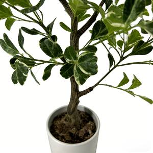 Bonsái artificial de ficus, árbol de baniano artificial en maceta, hojas en forma de corazón - Product Image 5