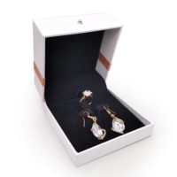 Collier et boucles d'oreilles de luxe personnalisés les plus populaires, emballage en plastique avec taille M (8*10*4.5cm) pour bijoux en provenance de Chine