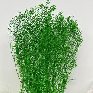Émeraude séchée préservée à faible taux <span class=keywords><strong>de</strong></span> bris pour <span class=keywords><strong>bouquet</strong></span> <span class=keywords><strong>de</strong></span> fleuriste, matériau assorti pour bouquets séchés finis - Product Image 4