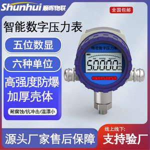 Manomètre numérique 100 mm -0,1 à 260 bars, antidéflagrant, avec contacts électriques - Product Image 2