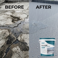 Revêtement imperméable en caoutchouc de silicone liquide à haute élongation SV120, blanc, gris, transparent, peinture d'étanchéité pour toiture et sols