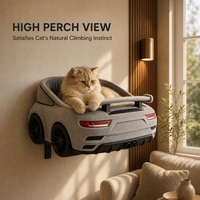 Lit pour chat mural en forme de voiture, respirant et confortable, structure stable, cadre en fer, emballé en carton, sur mesure