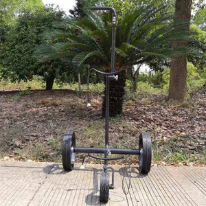 Luce di Telecomando In Fibra di Carbonio Carrello di <span class=keywords><strong>Golf</strong></span> Cart Elettrico Germania Stile Tubolare Invisibile Motore Smontato - Product Image 5