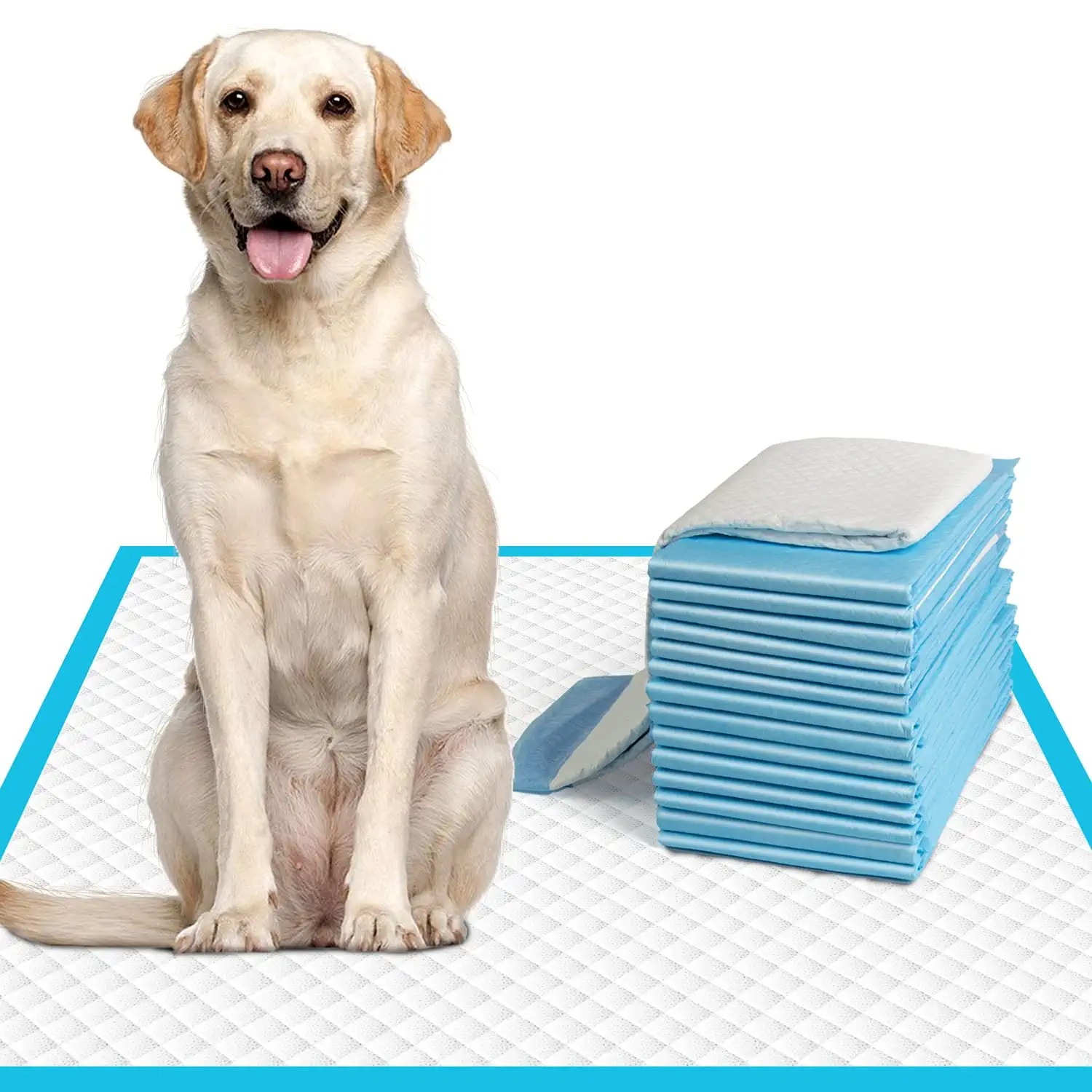 Petdom 60*60 Groothandel Pet Plas Pad Met Lekvrij Wegwerp Hond Puppy Training Plas Empapadores Perro