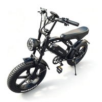 Prix de gros V20 Vélo de plage rétro 20 pouces à pneus larges, Vélo électrique vintage 1000W, Fatbike sport vintage, Stock UE