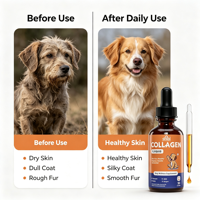 Complément Liquide de Collagène pour Chiens : Soutient la Peau, le Pelage, la Santé Digestive et Articulaire – Gouttes de Collagène, MSM, Biotine et Gingembre – OEM