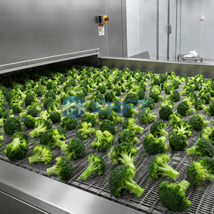 Congelatore Industriale a Tunnel KHFT per la Lavorazione degli Alimenti, Congelamento Rapido, Linea di Produzione di Alimenti Congelati - Product Image 2