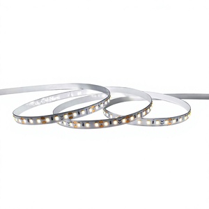 Tira de Luces LED Atenuables con Control por Voz, USB, IP20, CCT DC 24V 3000K+6000K, Iluminación Comercial para Decoración - Product Image 4