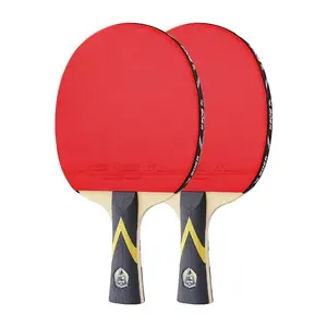 中国制造商定制耐用5星级专业乒乓球棒