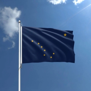 Tùy chỉnh chất lượng cao in ấn của 3x5 inch chúng tôi cờ cờ của 50 tiểu bang <span class=keywords><strong>Alaska</strong></span> cờ - Product Image 5