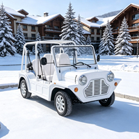 Voiture électrique Moke personnalisée, couleur au choix, batterie lithium 96V, buggy de plage rétro, châssis tout aluminium, véhicule de villégiature
