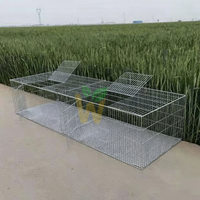 Enclos à poulets pliables en acier galvanisé soudé, portables et économiques, clôture de ferme pour les passionnés de pigeonnage