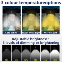 Lampe Solaire Extérieure Suspendue à 40 LED Bicolore avec Télécommande, Conception Séparée, Détecteur de Mouvement, Indice de Protection IP65, Certifiée CE