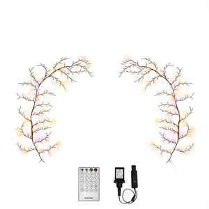 Guirnalda de Luces LED Decorativas de 2.5 Metros, Color Blanco Cálido, con Control Remoto y Activación por Voz, para Decoración del Hogar - Product Image 1