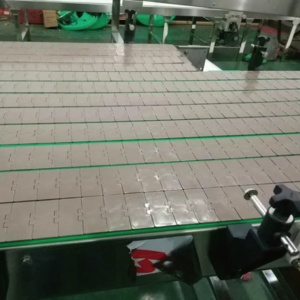 कम कीमत उच्च गुणवत्ता 820-k450 820-k600 प्लास्टिक सीधे फ्लैट टॉप चेन - Product Image 4