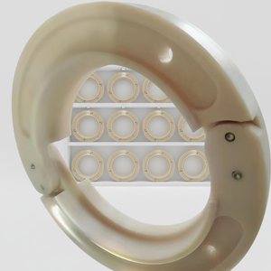 Inserto Run Flat ad Alta Resistenza per Pneumatici Autobus e Camion 215/75R17.5 17.5 Pollici 315/80R22.5 22.5 Pollici Progettato per Trasporti Pesanti - Product Image 6