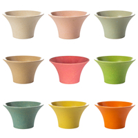 Pot de fleurs succulente Cactus de grande taille, plat coloré, style nordique, avec plateau