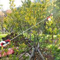 Pollinisateur agricole, pollen d'arbre fruitier artificiel, pêcher, poirier, tomate, nouveau dispositif manuel de type airbag