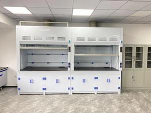 <span class=keywords><strong>Hotte</strong></span> de laboratoire en PP pour l'extraction des fumées, des gaz et des poussières – Équipement de laboratoire chimique avec support d'usine - Product Image 2