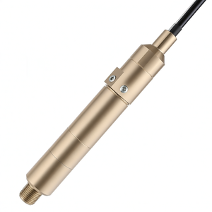 Capteur de niveau submersible en acier inoxydable IP68 entièrement soudé GLT510M pour les industries du carburant et des produits chimiques - Product Image 6