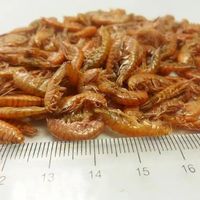 Crevettes lyophilisées pour animaux de compagnie/Krill/Gammarus séché au soleil