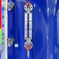 Magnetic Bypass Level Indicator with Remote Diaphragm Alarm Switch Control Switch 300-15000mm Range 10mm Accuracy