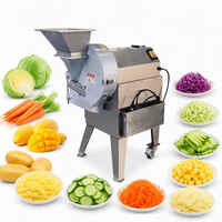 Elektrische groentesnijder, voedselverwerker voor mango, fruit, kool en wortel.
