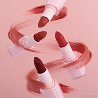 Créez votre propre rouge à lèvres de maquillage en velours Vente en gros Vegan Luxury 24 Hours Waterproof Private Label Nude Matte Lipstick