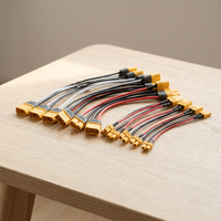 Connecteur personnalisé Amass XT30 XT60 XT90 XT120, assemblage de câbles, faisceau de câblage électronique OEM