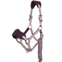 Équipement pour chevaux Colliers de tête équestre Halter pour chevaux Corde de plomb assortie avec quincaillerie durable