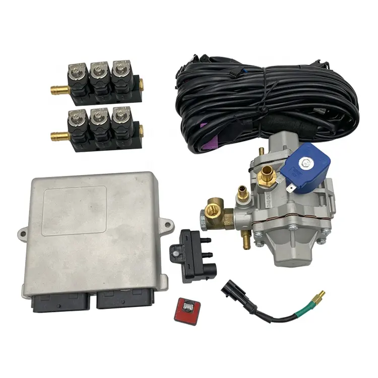 LD 6 Cylinder auto cng engines lpg conversion kit